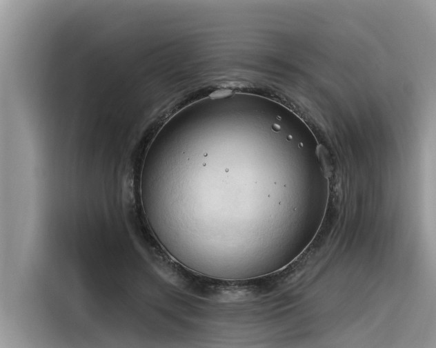 X0000116320547200912011114