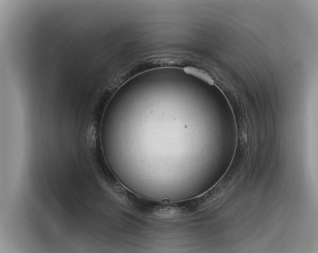 X0000116320551200912011114