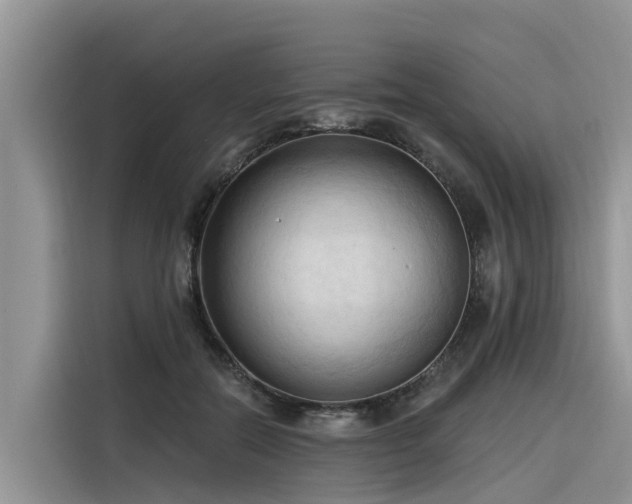 X0000116320554200912011114