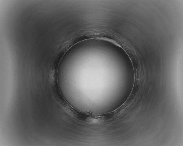 X0000116320563200912011115