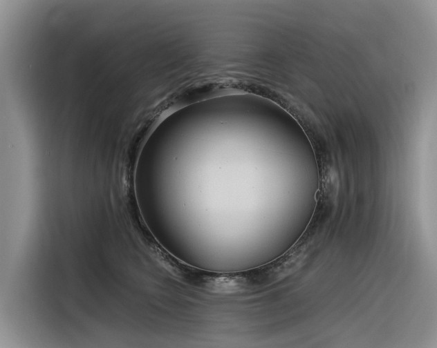 X0000116320566200912011115