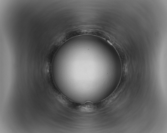 X0000116320567200912011115