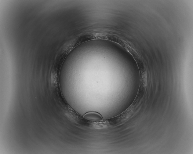 X0000116320571200912011115