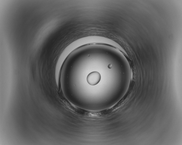 X0000116320573200912011115