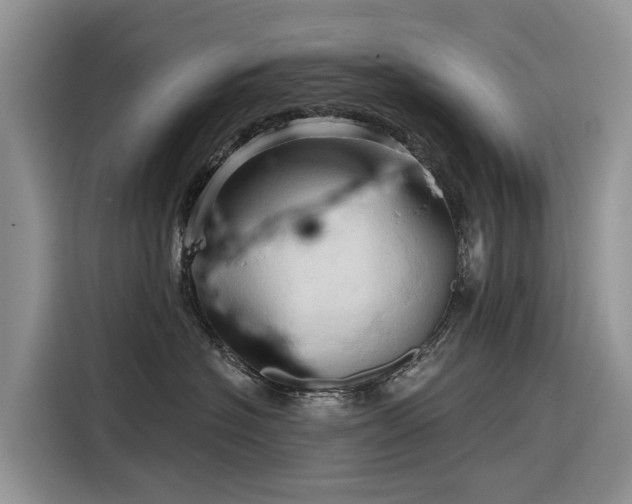 X0000116320574200912011115