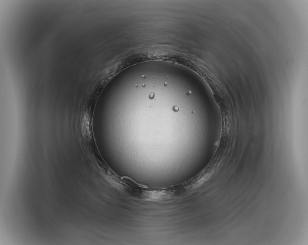 X0000116320575200912011115