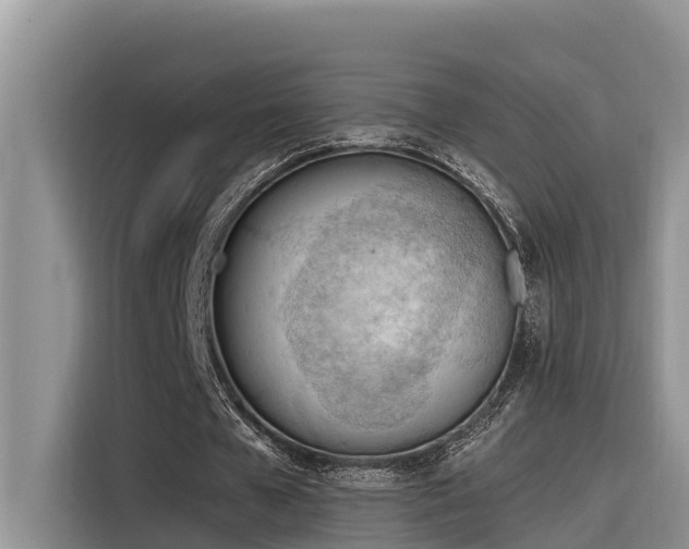 X0000116320577200912011114