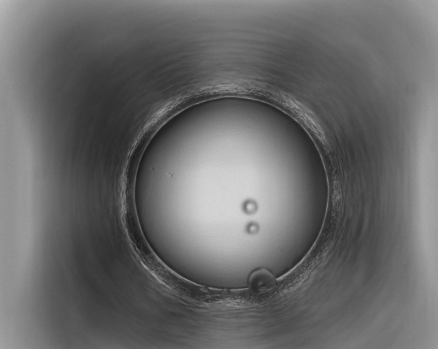 X0000116320578200912011114