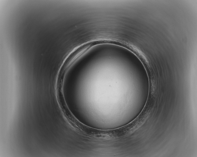 X0000116320580200912011114