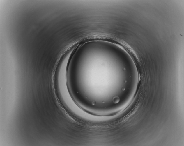 X0000116320581200912011114