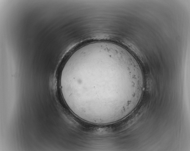 X0000116320584200912011114