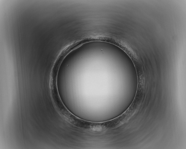 X0000116320587200912011114