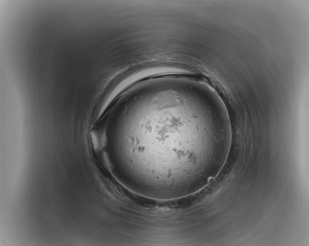 X0000116320592200912011114