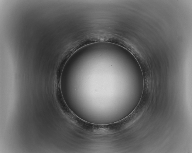 X0000116320594200912011114