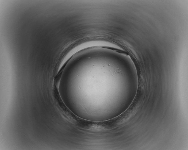 X0000116320596200912011114