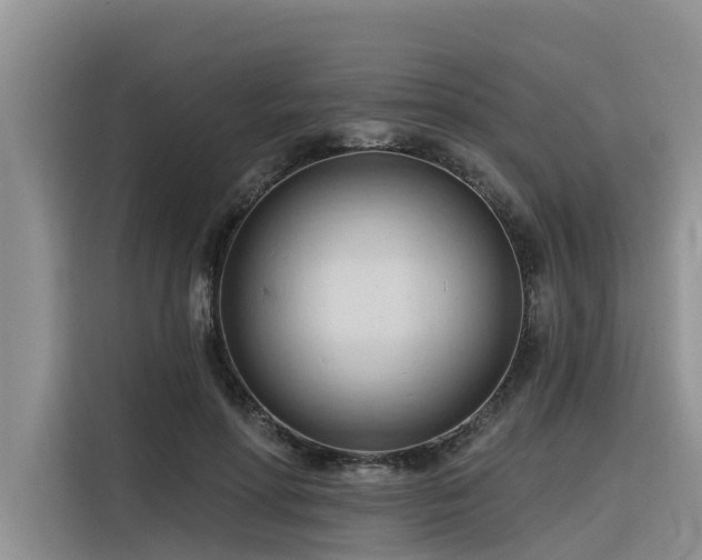 X0000116320598200912011114