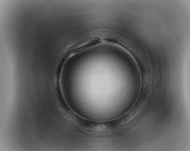 X0000116320600200912011114