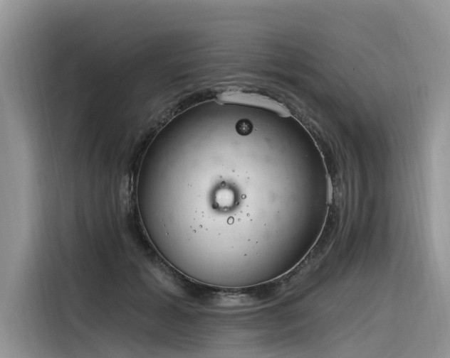 X0000116320605200912011114