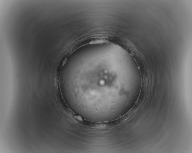 X0000116320609200912011114