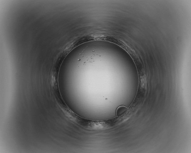 X0000116320618200912011114