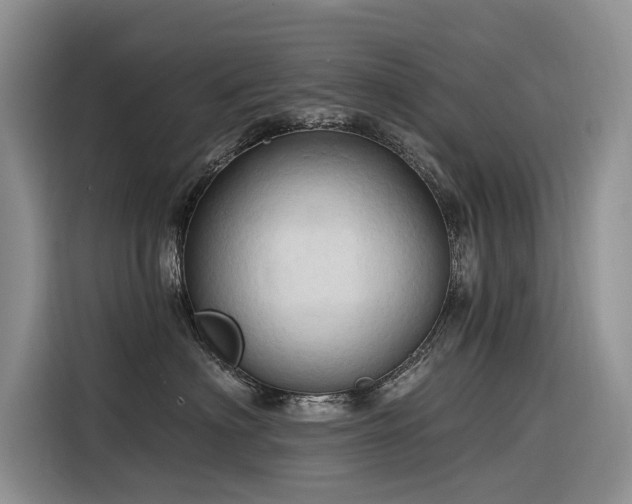 X0000116320622200912011114