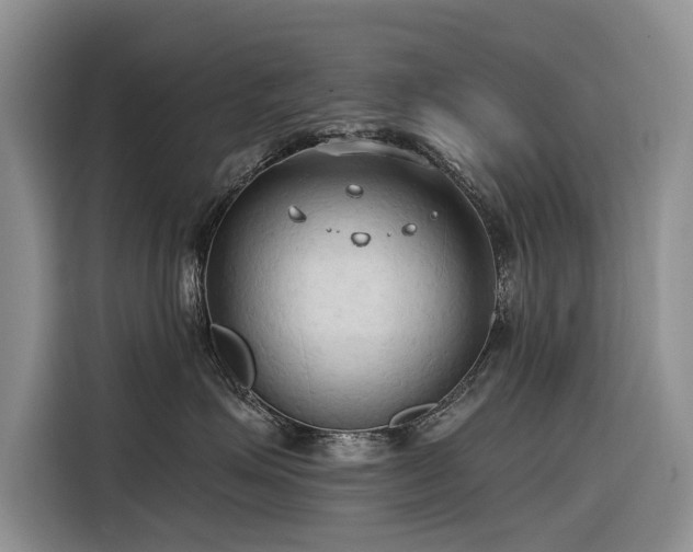 X0000116320623200912011114