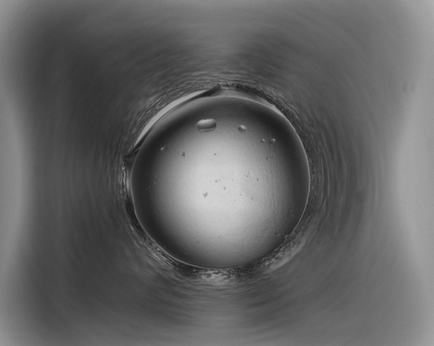 X0000116320624200912011114