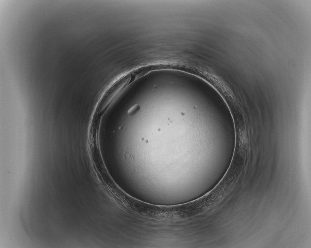 X0000116320628200912011113