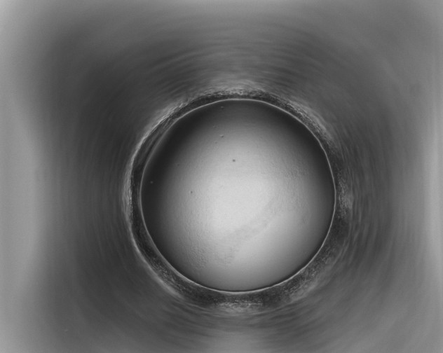 X0000116320630200912011113