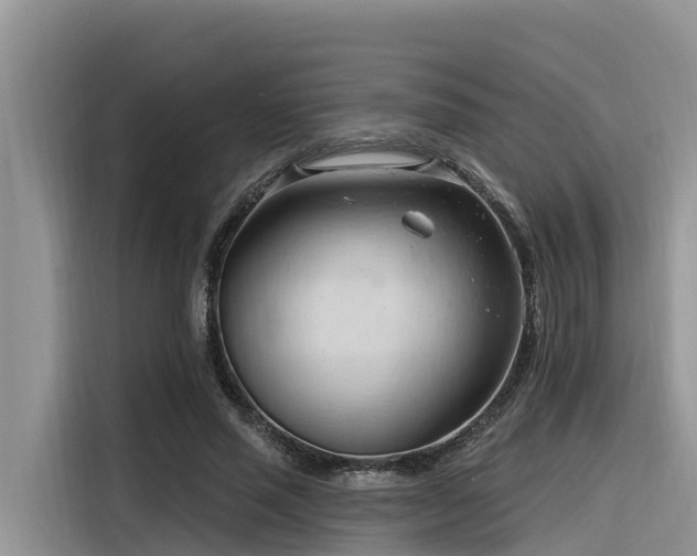 X0000116320637200912011113