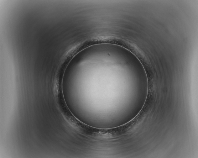 X0000116320640200912011113