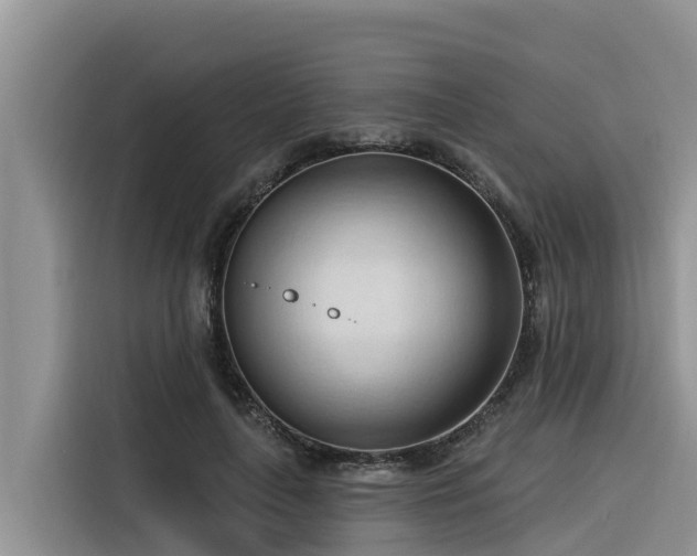 X0000116320643200912011113