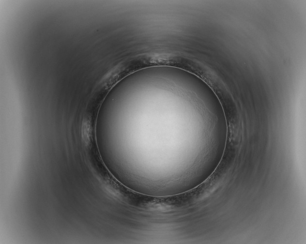 X0000116320648200912011113