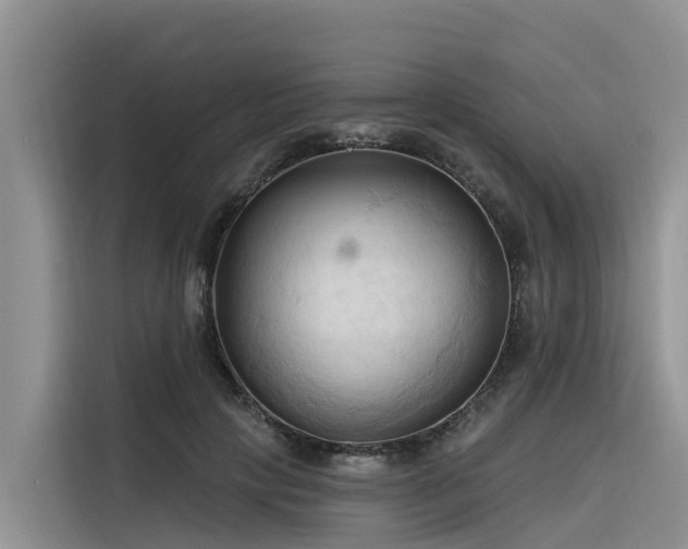 X0000116320649200912011113