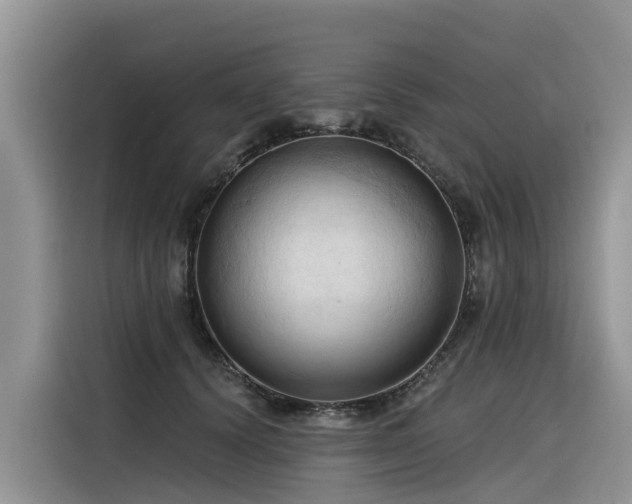 X0000116320656200912011113