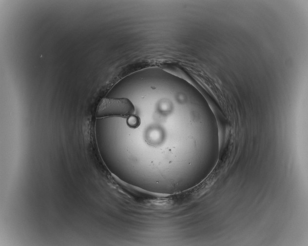 X0000116320659200912011113