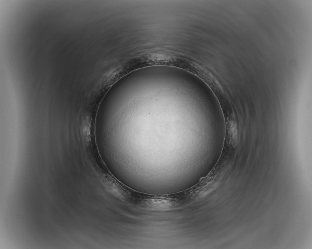 X0000116320668200912011113