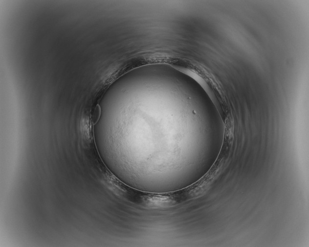 X0000116320669200912011113