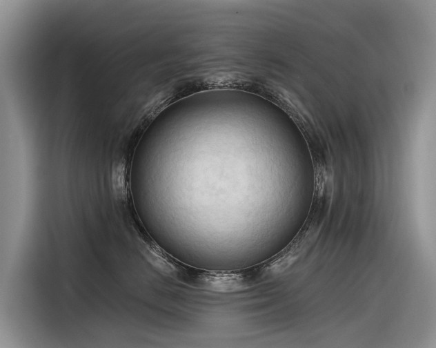 X0000116320670200912011113