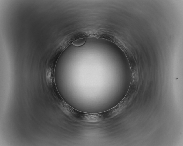 X0000116320671200912011113