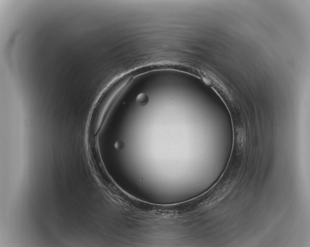 X0000116320676200912011113