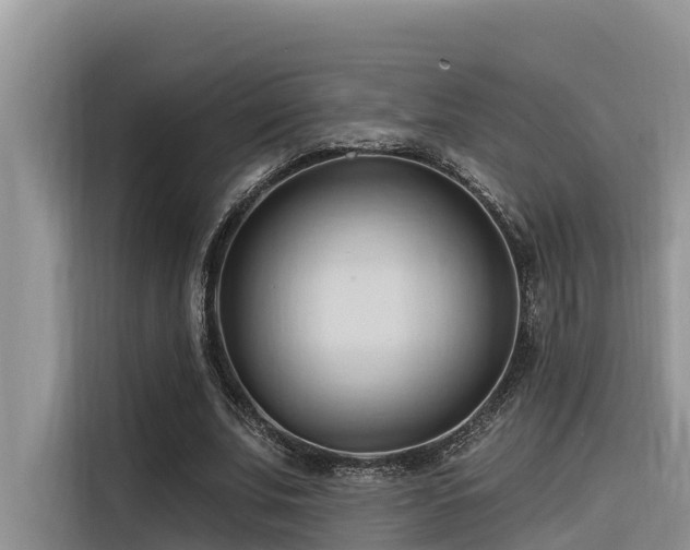 X0000116320679200912011113