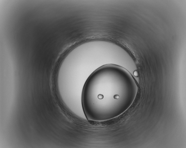 X0000116320688200912011113