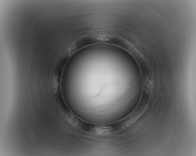 X0000116320707200912011112