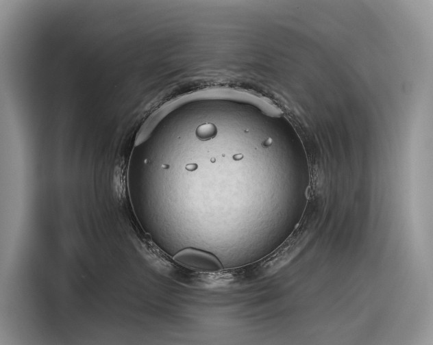 X0000116320719200912011112