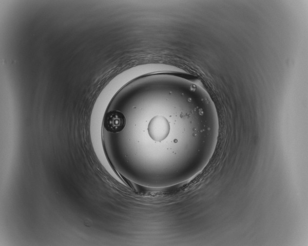 X0000116320720200912011112