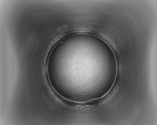 X0000116320721200912011112