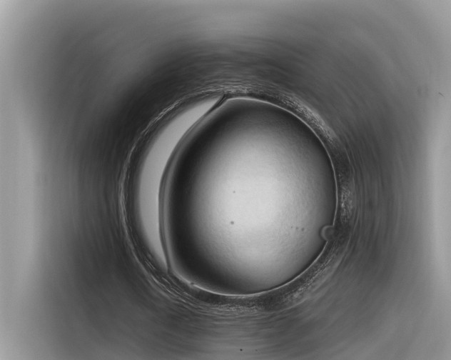 X0000116320722200912011112