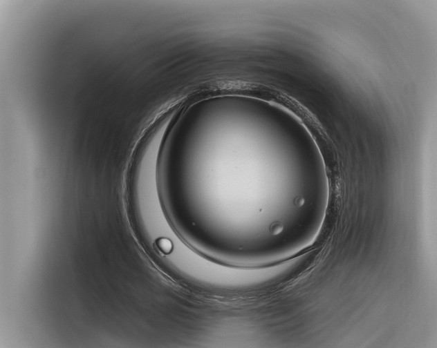 X0000116320725200912011112