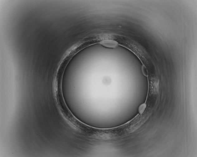 X0000116320726200912011112